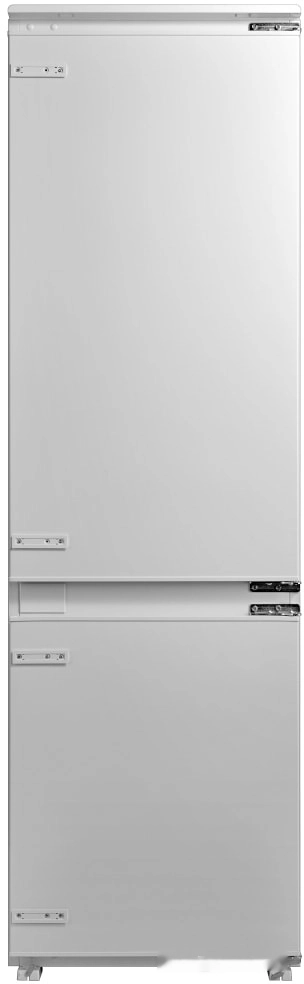 KFS 17935 CFNF